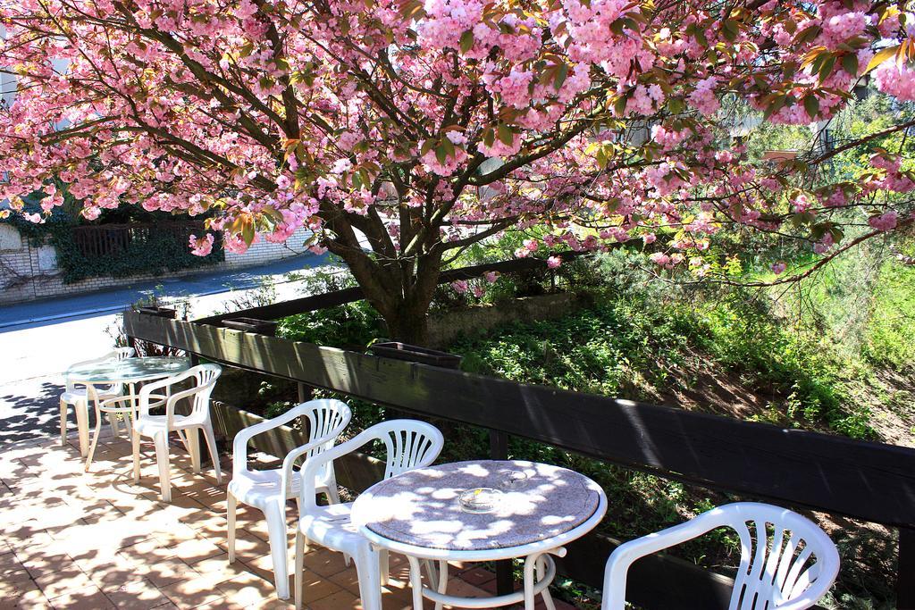 Discounts Prague Hotel Hotel Prag